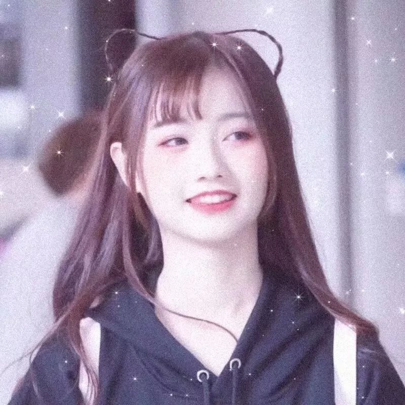 轮廓中的真相 在线观看